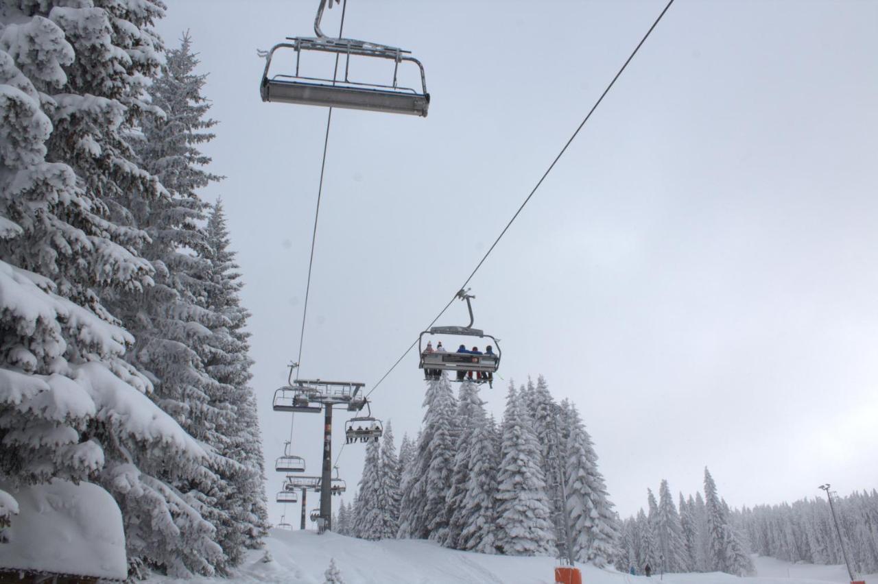 Kraljev Konak Kopaonik Exterior foto
